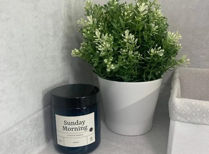 Cozy Next To The And Olivia Business Center Apartment *